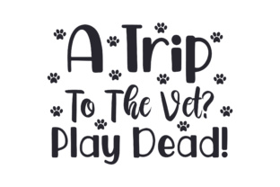 A Trip to the Vet Play Dead: Medical Crafts Review